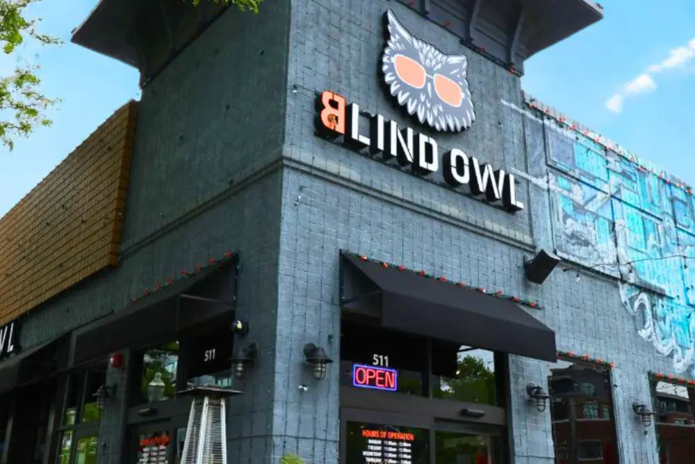 Blind Owl bar exterior: grey painted-brick corner building with an owl-with-sunglasses logo and 'BLIND OWL' sign, OPEN neon, blue sky and a mural on the side.